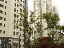 带产权车位 采光好 精装,无抵押,新上房源