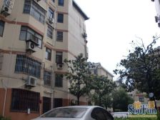 周浦·莲花公寓(浦东)·3室·1厅