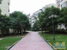 莲浦花苑3室2厅南北