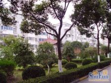 周浦·公元二村·1室·1厅