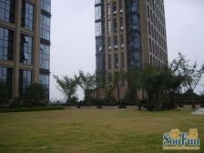 景房地铁精装修拎包入住诚心出售采光好