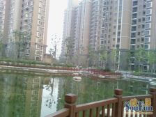 御上海3室2厅2卫南北通飞机户型精装满五年0个税