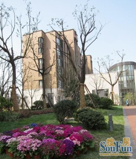 小区相关图