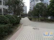 爱家天地B区 3室2厅 东南