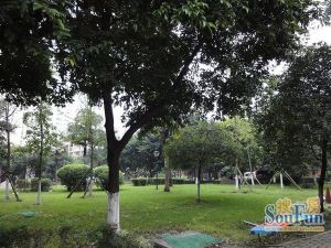 凯莱帝景3室2厅东南