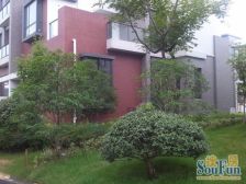 联排东边套,地上三层地下一层,5房3卫,使用面积大