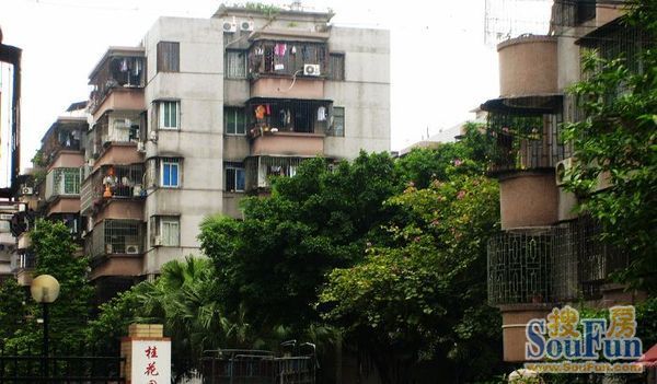 桂华花园实景图