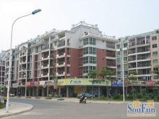 金山公园旁电梯房,低总价,低单价,建中小区