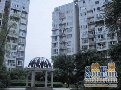 小区相关图