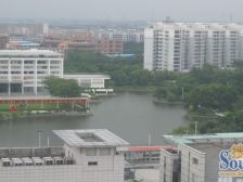 东苑花园 3室2厅 西北