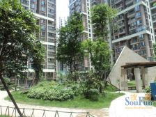 鑫苑名家一期 1室1厅 南 北