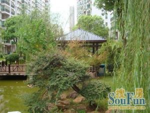 雨花亭,地铁口,三房,满五唯一,电梯房