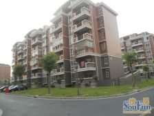 近小区南门-出行方便-南北户型-业主产权清晰