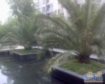 杨东·香梅花园三期·3室·2厅