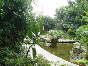 黄金海岸 4室3厅 东南