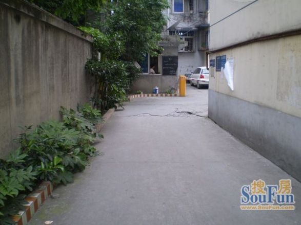 凤溪苑实景图