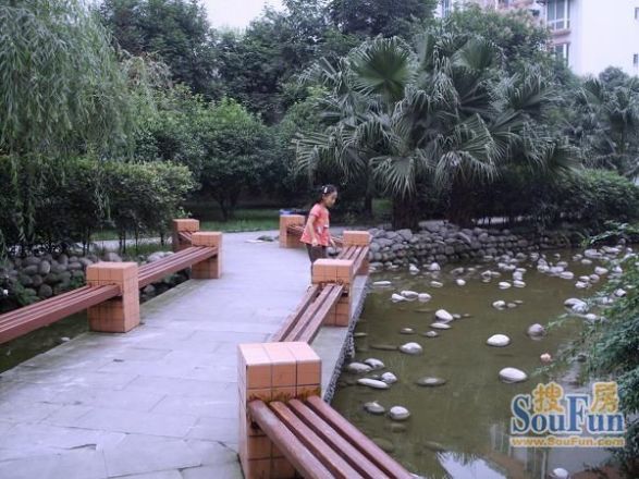 新秀花园实景图