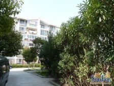 诚心出售 看房方便 产权清晰 价到即签