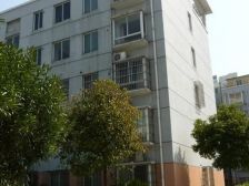 出则繁华万千,入则宁静优雅(周浦核心地段)