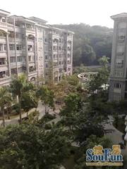 笋 电梯单家低香格里拉电梯中层精装满二唯一诚意出售