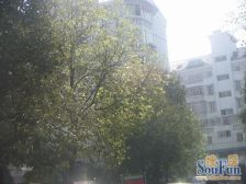 加盟圣蓝苑,5室三厅近18号线周浦站,商业配套齐全,交通便利