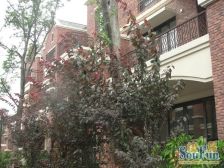 赵巷 · 合生御廷园 · 5室 · 3厅