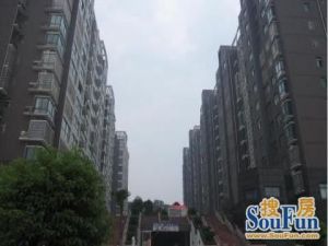 城西公寓3室2厅南
