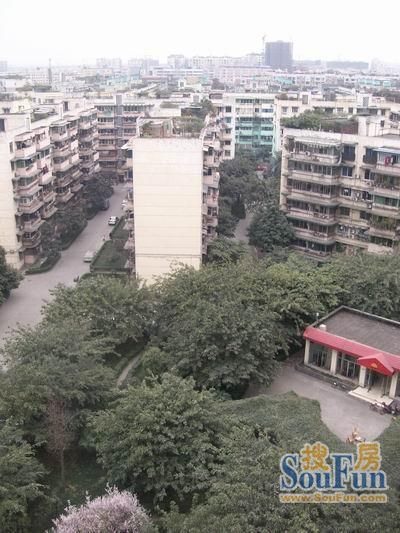 小区相关图