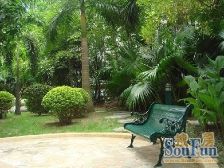 府又祥兴苑 2室1厅 南