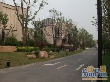 金地大联排 ,精装修带电梯 ,北临河 ,诚信出售