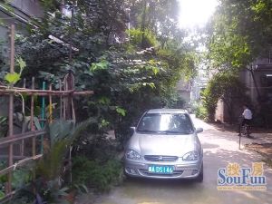 白马苑 3室2厅 西 北