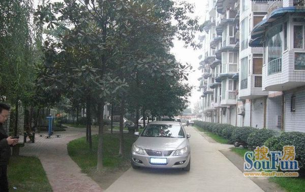 靓典实景图