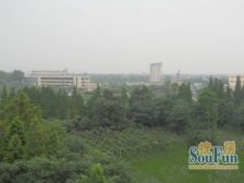 芙蓉花开3室1厅西南