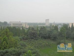 芙蓉花开3室2厅西南