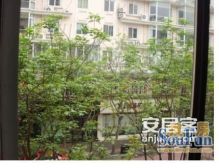 桐梓林小区2室1厅西南东南