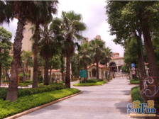 品质推荐:万科品牌+联排+采光通透+张江南+S2/S3