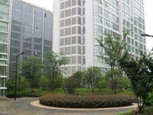 旭辉世纪广场 3室1厅 南