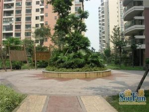 丽水金都3室2厅南北