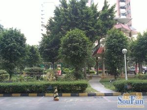 民园小区满五年整个小区单价好低一套视野无遮挡