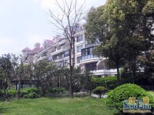 低密度洋房,私密性高,有露台,诚意卖房,看房方便