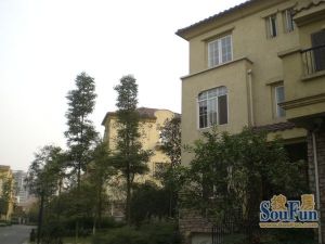 香颂岛5室3厅东南