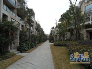 保利郁金香谷4室2厅东