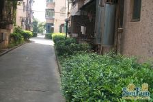 阳明山毛坯两房,位置好,诚意出售