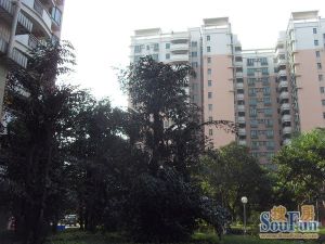 户型方正 房子满五年不唯一 电梯楼 北向看花园 采光好