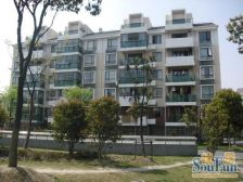 扬盛佳苑 3室3厅 南