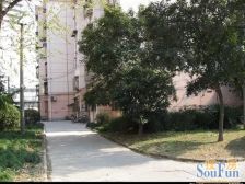 和安小区+房龄新+南北两房一厅户型+非顶楼+采光好