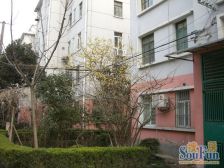 东南二村+小户型+低总价+原始三室户型+动迁属性税费少。