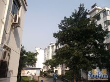 宜达新居 2室1厅 东南