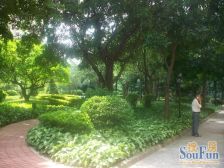 怡翠花园楼层好 采光通风好,环境优美