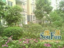 农业园区 皇洋伽蓝艺墅一期三房210万